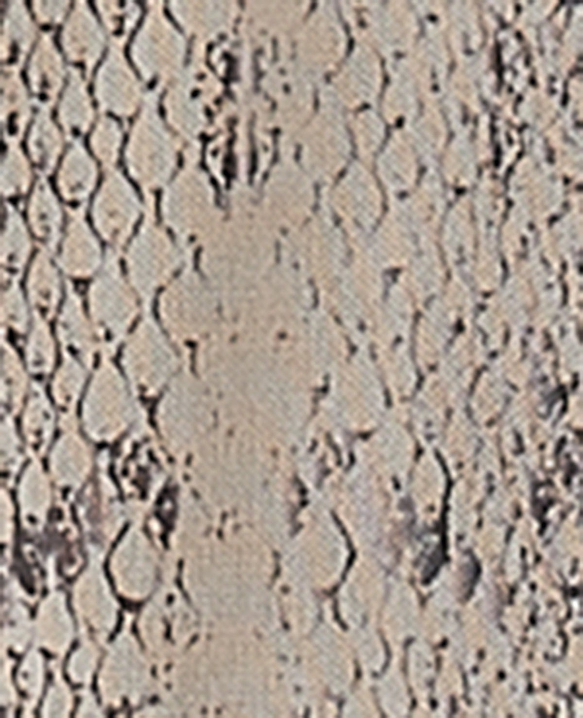 Top manches longues en résille motif python